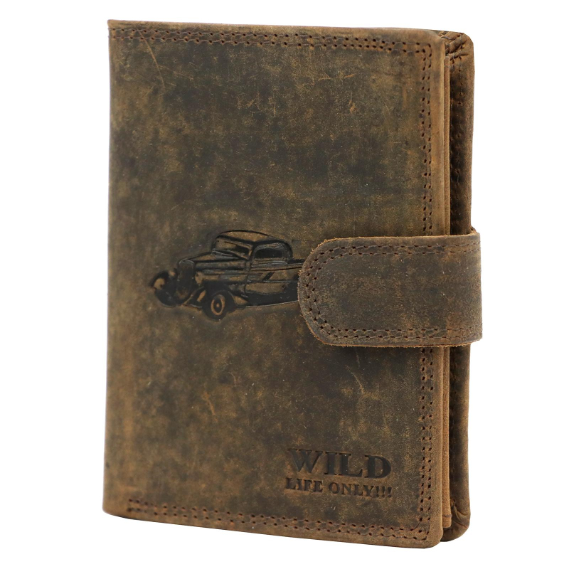 Pánská peněženka Wild FF5601B-S hnědá