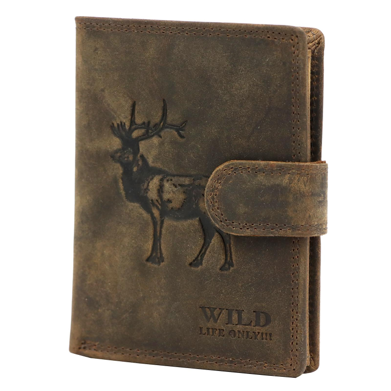Pánská peněženka Wild FF5601B-J hnědá