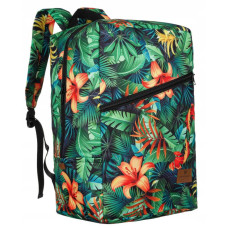 Peterson PTN PLEC-03 -