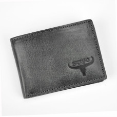 Pánská peněženka Wild N1184-HP černá